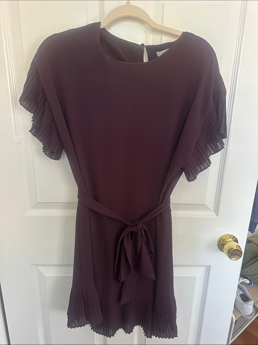 Naked Zebra Plum Pleated-Sleeve Tie-Waist Mini Dress